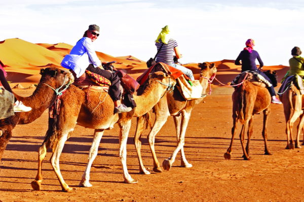 What is Camel ride Dubai in desert safari?