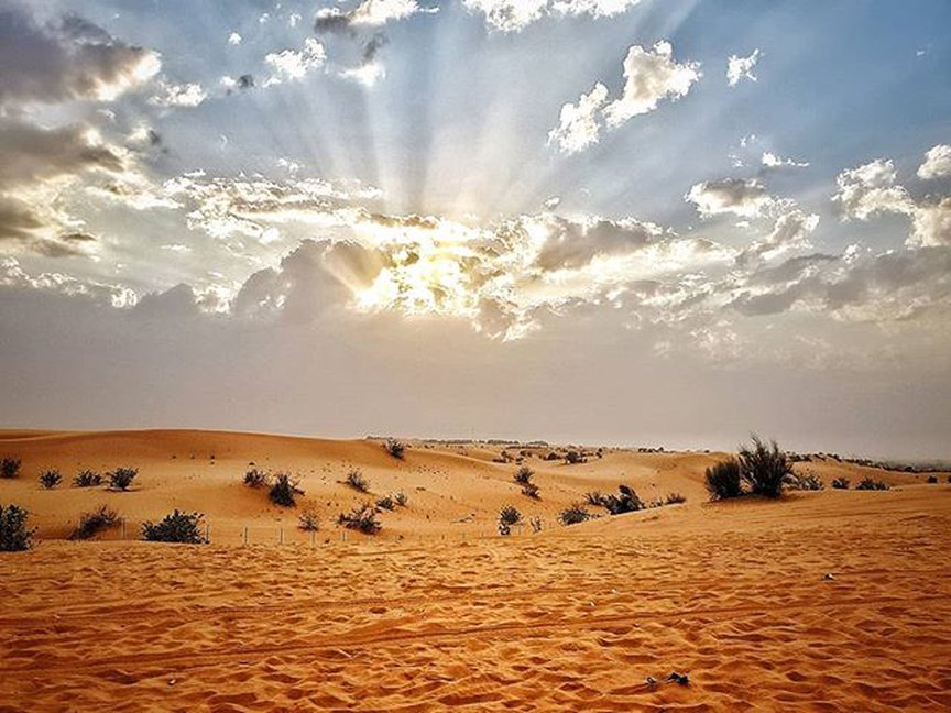 Top Best Desert Safari Tourism in Dubai