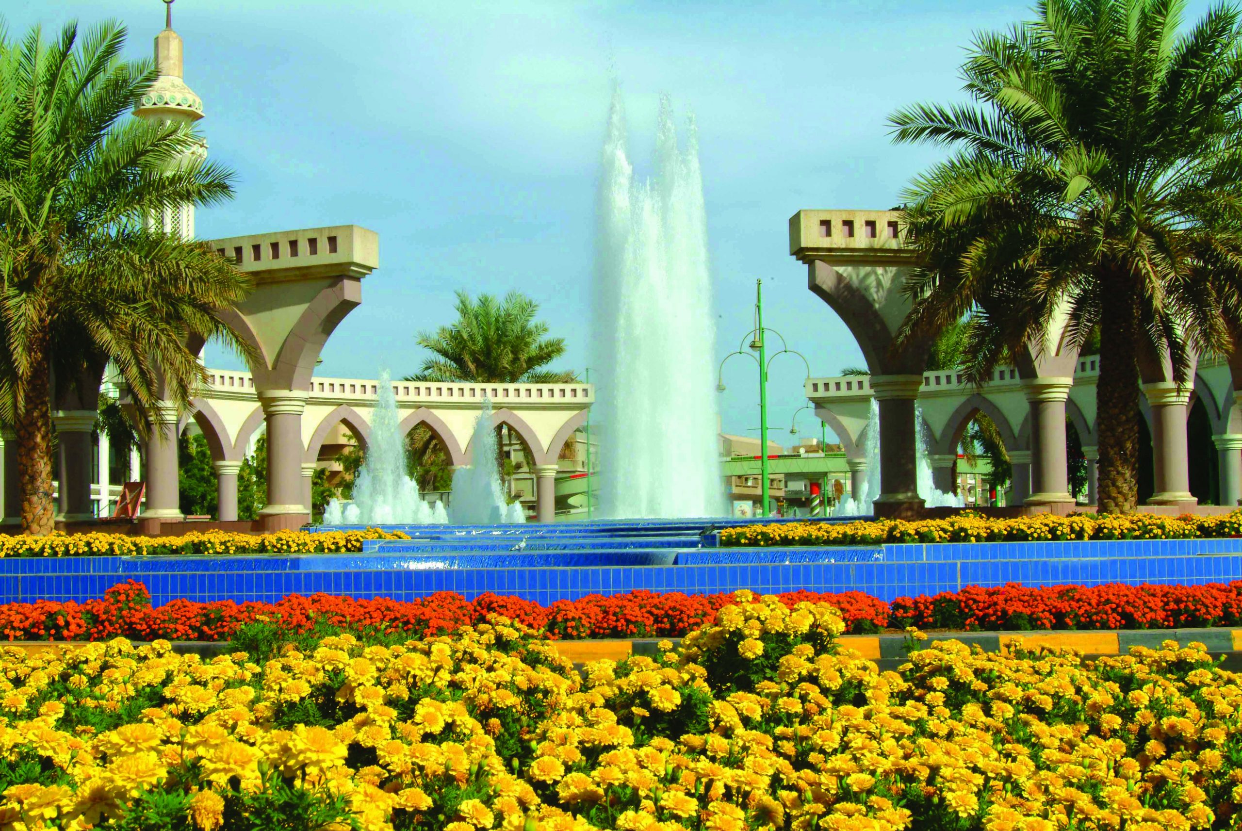 Al Ain City Tour and Its Greenery