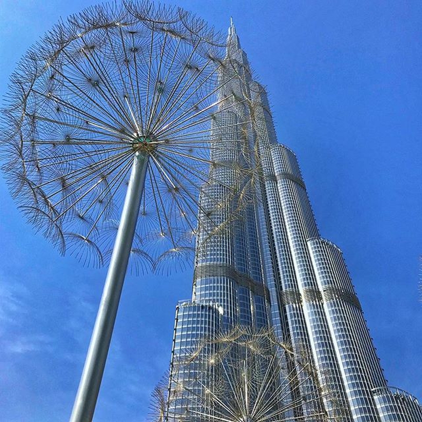 Go to Dubai with the Best tour operators in Dubai