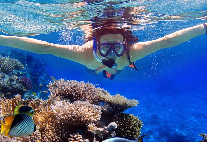for land 5 package dubai nights In Snorkeling & Dubai Tours Travel Dubai Culture for land 5 package dubai nights In Snorkeling & Dubai Tours Travel Dubai Culture