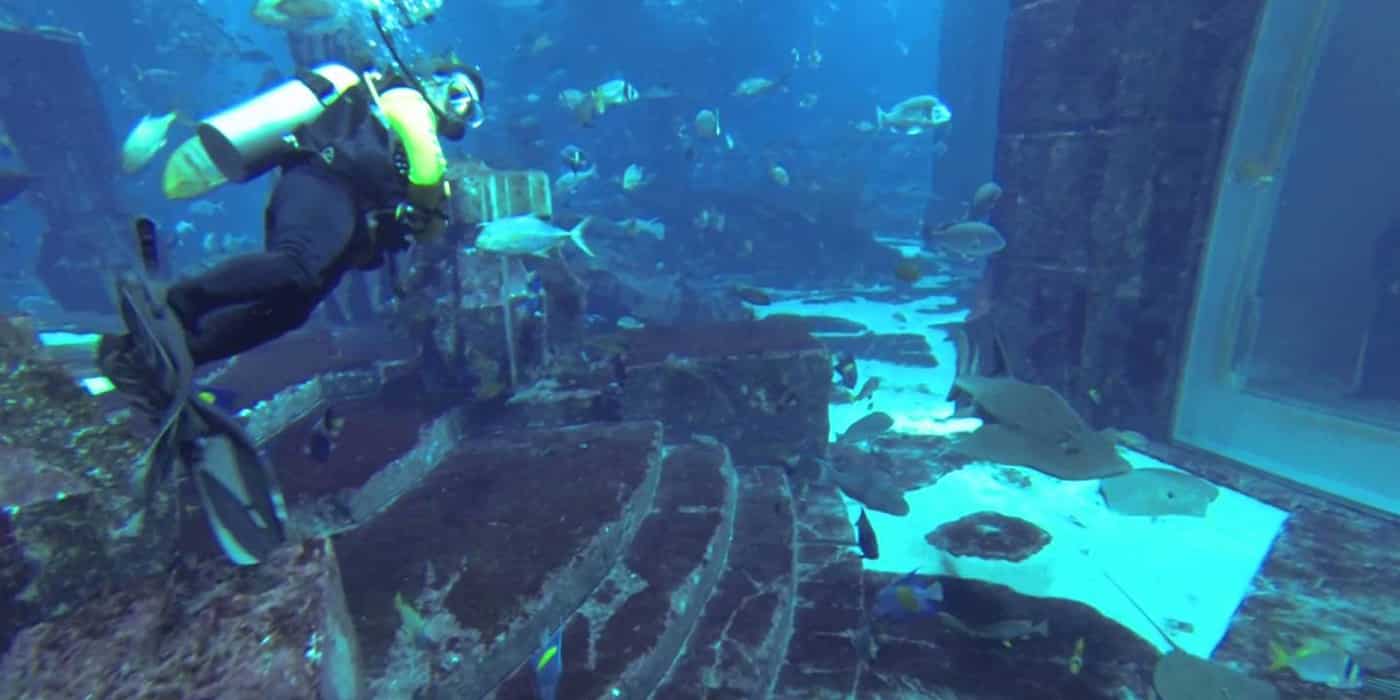 land dubai package Arab  Skyland   United  Emirates Scuba in Tourism Dubai Diving